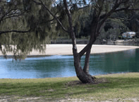 Ocean View Apartments - Tourism Caloundra 3