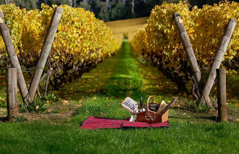 Lindenderry At Red Hill - Tourism Caloundra 5