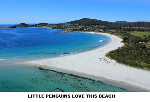 Diamond Island Resort - Tourism Caloundra 5