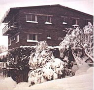 Elk at Falls - Tourism Caloundra