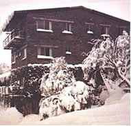 Elk At Falls - Tourism Caloundra 0