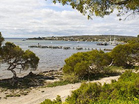 Seagulls Wrest Point - Tourism Caloundra 0