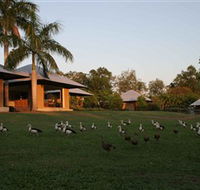 Feathers Sanctuary - Tourism Caloundra