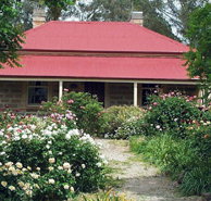 Rosebrae Cottage - Tourism Caloundra
