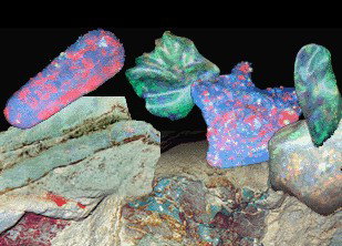 Umoona Opal Mine - Tourism Caloundra 1