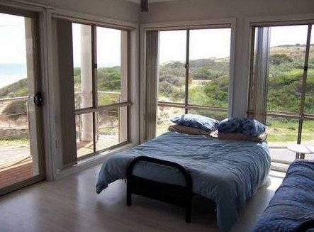 Christies Seahorse - Tourism Caloundra 1