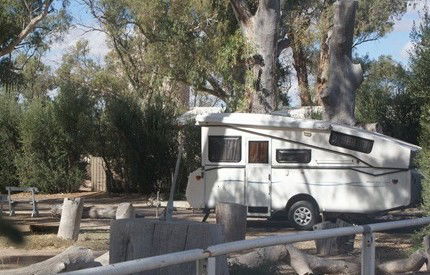 Quorn Caravan Park - Tourism Caloundra 3
