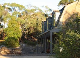 Wings Barossa Bird And Bush Retreat - Tourism Caloundra 1