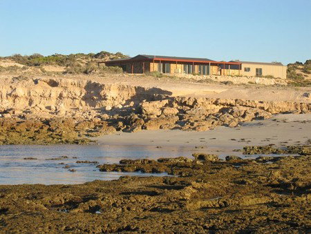 Tiliqua Sunrise - Tourism Caloundra 3