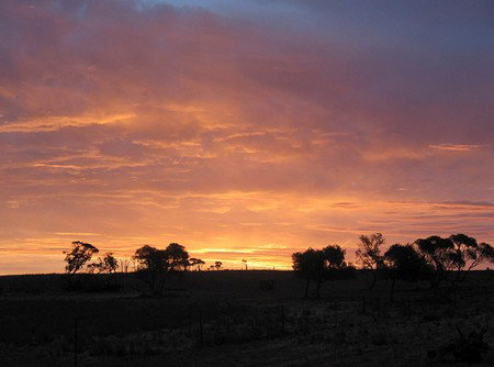 Willangi Bush Escapes - Tourism Caloundra 1
