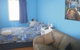 Second Valley Caravan Park - thumb 3