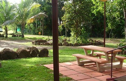 Virginia Heliconia Farm - Tourism Caloundra 0