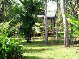 Virginia Heliconia Farm - Tourism Caloundra 3