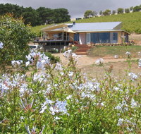 The Blue Grape Vineyard Accommodation - Tourism Caloundra