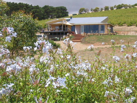 The Blue Grape Vineyard Accommodation - Tourism Caloundra 0