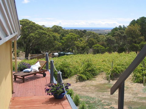 The Blue Grape Vineyard Accommodation - Tourism Caloundra 1