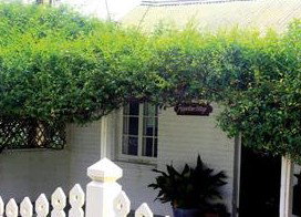 Peppertree Cottage Bed And Breakfast - Normanville - Tourism Caloundra 1