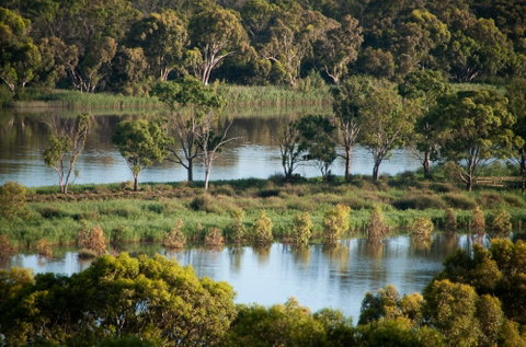 Riverview Rise Retreats - Tourism Caloundra 4