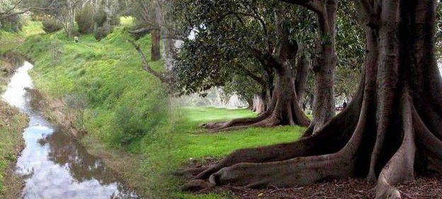 Gawler SA Tourism Caloundra