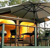 Jabiru Safari Lodge at Mareeba Wetlands - Tourism Caloundra