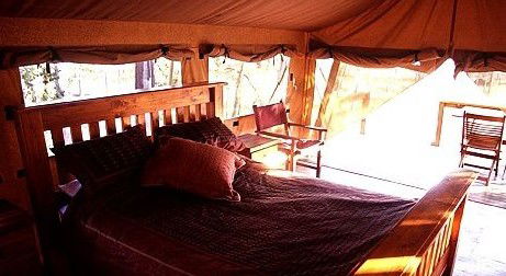 Jabiru Safari Lodge At Mareeba Wetlands - Tourism Caloundra 1
