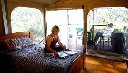 Jabiru Safari Lodge At Mareeba Wetlands - Tourism Caloundra 2