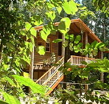 Rivers Edge Rainforest Retreat - Tourism Caloundra