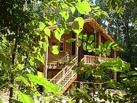 Rivers Edge Rainforest Retreat - Tourism Caloundra 0