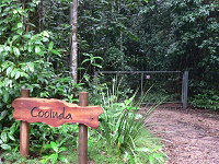Rivers Edge Rainforest Retreat - Tourism Caloundra 4