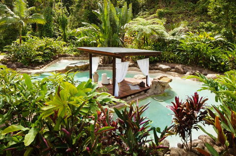 Misty Mountains Tropical Rainforest Romantic Retreat - Tourism Caloundra 3