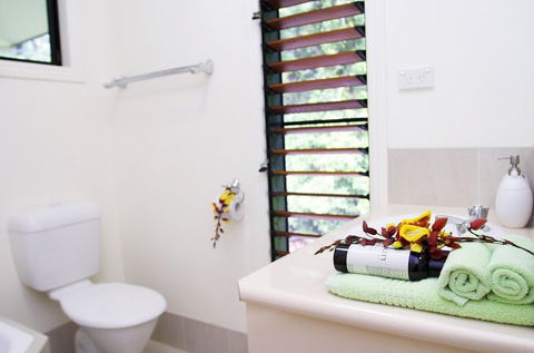 Misty Mountains Tropical Rainforest Romantic Retreat - Tourism Caloundra 5
