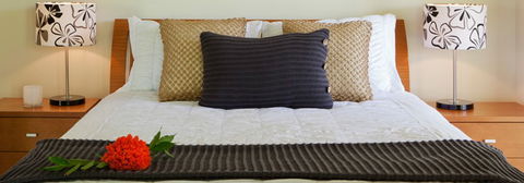 Misty Mountains Tropical Rainforest Romantic Retreat - Tourism Caloundra 7