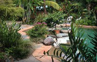 Galvins Edge Hill Bed And Breakfast - Tourism Caloundra 5