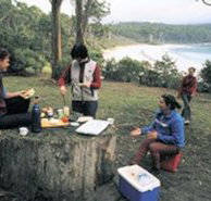 Fortescue Bay Camping Ground - Tourism Caloundra