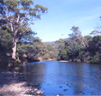 Douglas River Cabin - Tourism Caloundra