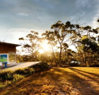 Bruny Island Experience - Tourism Caloundra