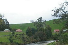 Tin Dragon Trail Cottages - Tourism Caloundra 0