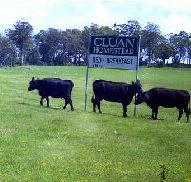 Cluan Homestead - The Managers Residence - Tourism Caloundra