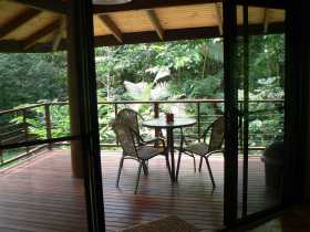 Cape Trib Exotic Fruit Farm Bed And Breakfast - Tourism Caloundra 0