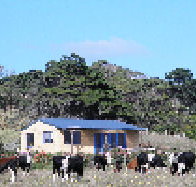 Marrawah Beach House - Tourism Caloundra