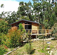 Southern Forest Accommodation - Tourism Caloundra