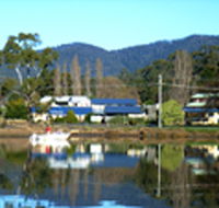 Prosser Holiday Units - Tourism Caloundra