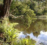 Weldborough Camping Ground - Tourism Caloundra