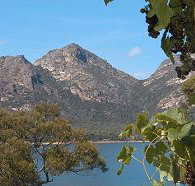 Freycinet on the Bay - Tourism Caloundra