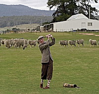 Park House Accommodation - Tourism Caloundra