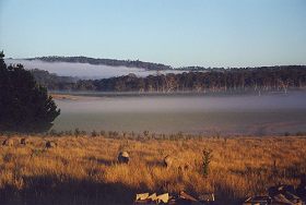 Lemont TAS Tourism Caloundra