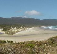 Cloudy Bay Cabin - Tourism Caloundra