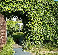 Kirra Guest House - Tourism Caloundra