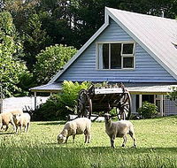 Hide-Away Cottage Retreat - Tourism Caloundra