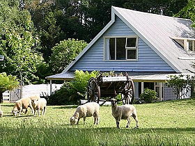 Hide-Away Cottage Retreat - Tourism Caloundra 0